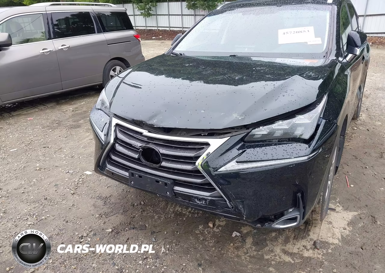 2016 Lexus Nx 300H VIN:JTJBJRBZ8G2034933 - 6