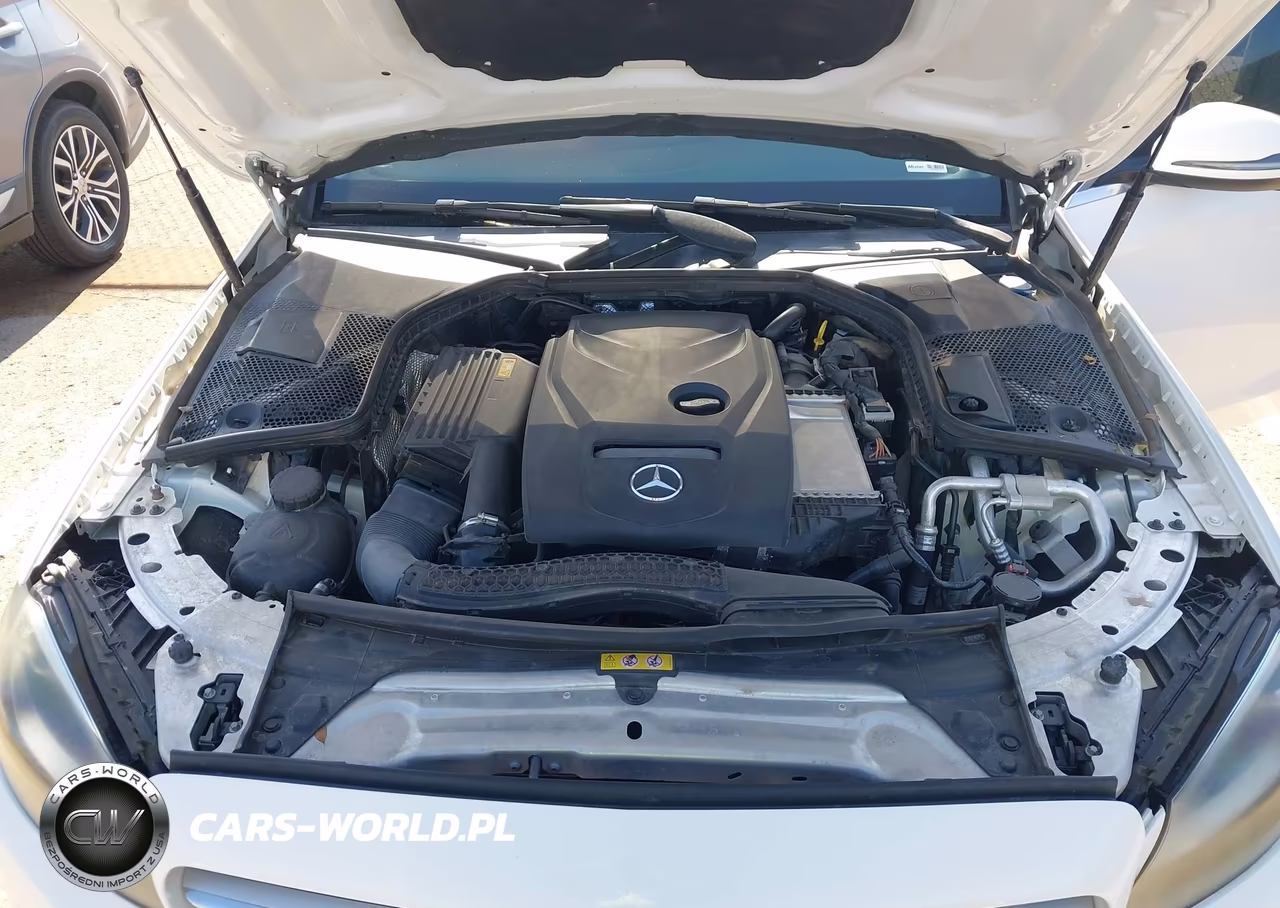 2017 Mercedes-Benz C 300 Luxury-Sport VIN:55SWF4JB1HU222770 - 10