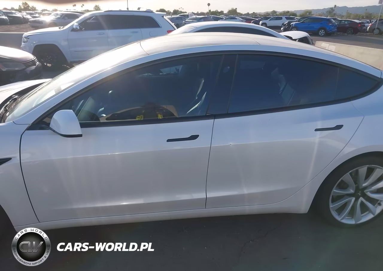 2021 Tesla Model 3 Standard Range Plus Rear-Wheel Drive VIN:5YJ3E1EA0MF871834 - 14