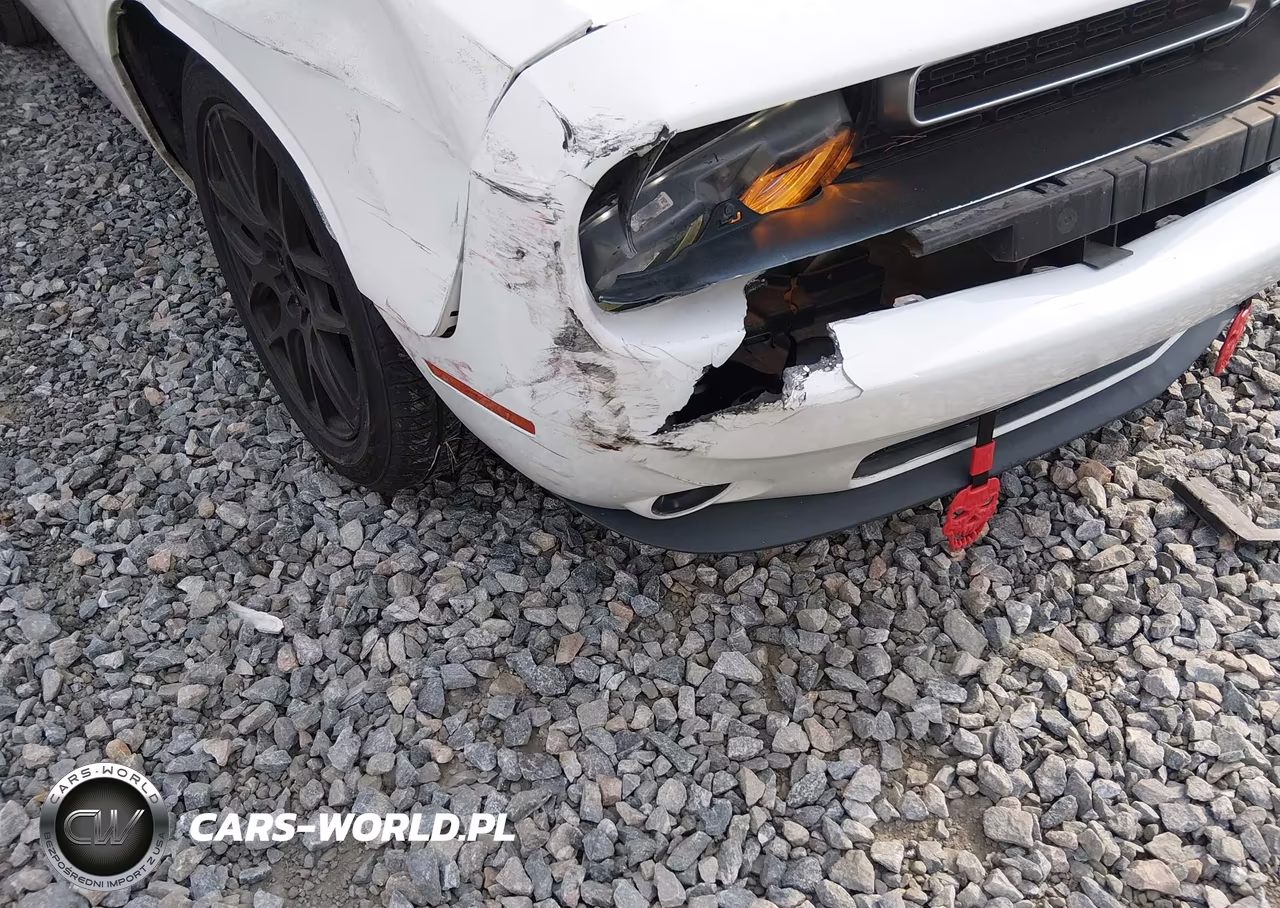 2017 Dodge Challenger Sxt VIN:2C3CDZAG9HH568888 - 19