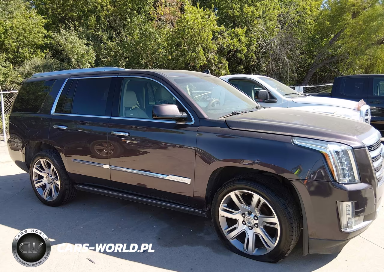 2015 Cadillac Escalade Premium VIN:1GYS4CKJ4FR238890 - 13