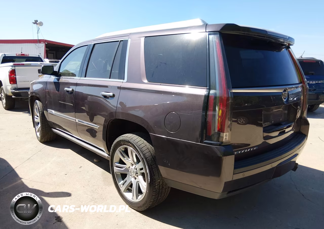 2015 Cadillac Escalade Premium VIN:1GYS4CKJ4FR238890 - 3