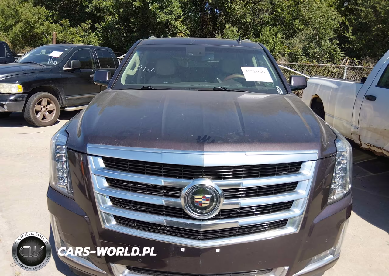 2015 Cadillac Escalade Premium VIN:1GYS4CKJ4FR238890 - 6