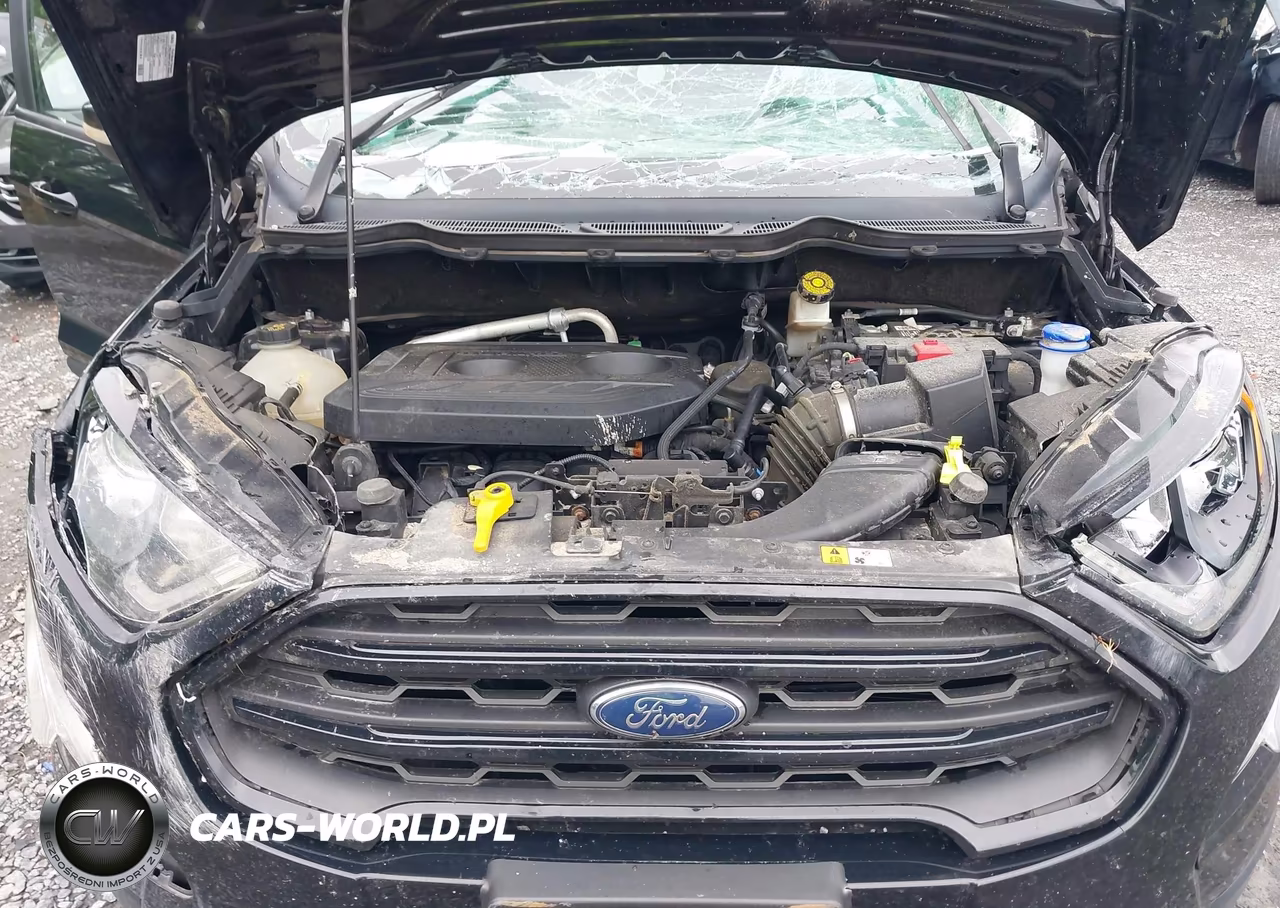 2019 Ford Ecosport Ses VIN:MAJ6S3JL9KC296514 - 10