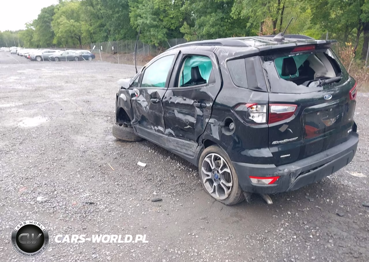 2019 Ford Ecosport Ses VIN:MAJ6S3JL9KC296514 - 3