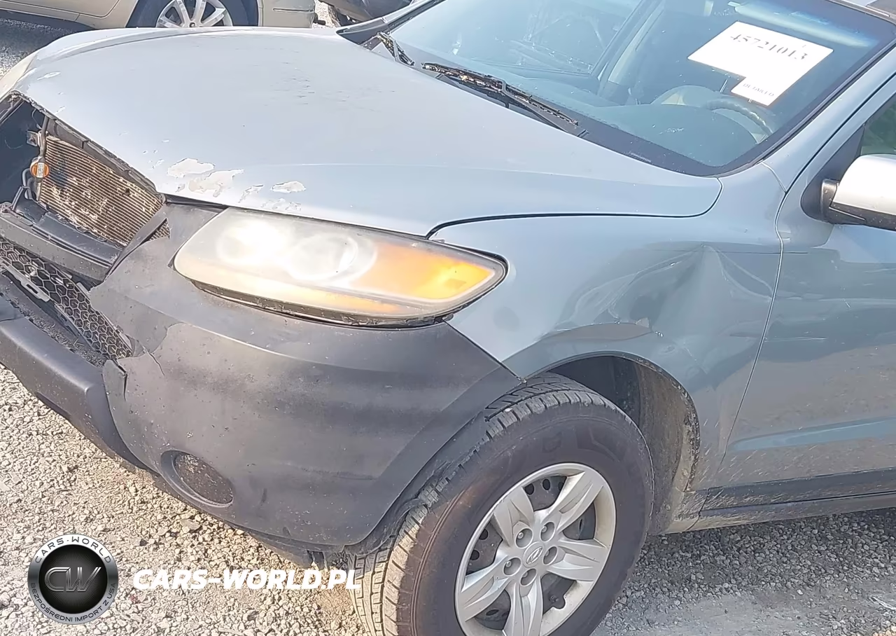 2009 Hyundai Santa Fe Gls VIN:5NMSG73DX9H299487 - 19