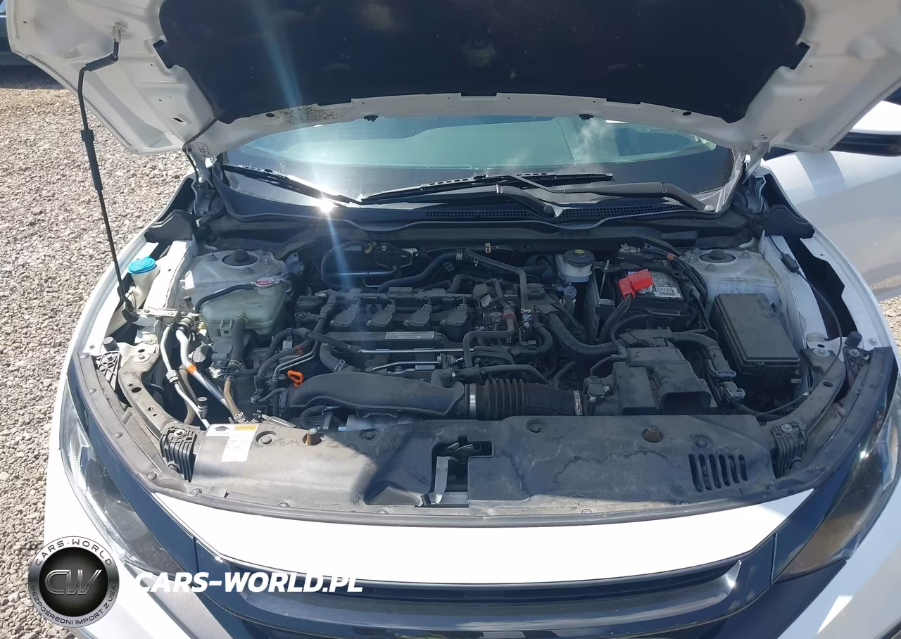2020 Honda Civic Ex-L VIN:19XFC1F7XLE013894 - 10