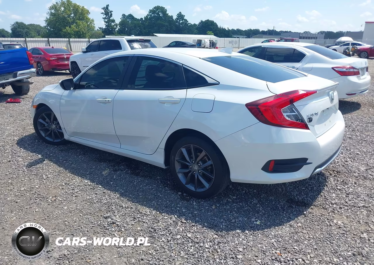 2020 Honda Civic Ex-L VIN:19XFC1F7XLE013894 - 3