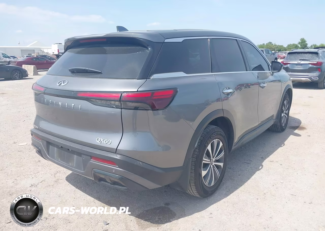 2025 Infiniti Qx60 Pure VIN:5N1AL1ER7SC334032 - 4