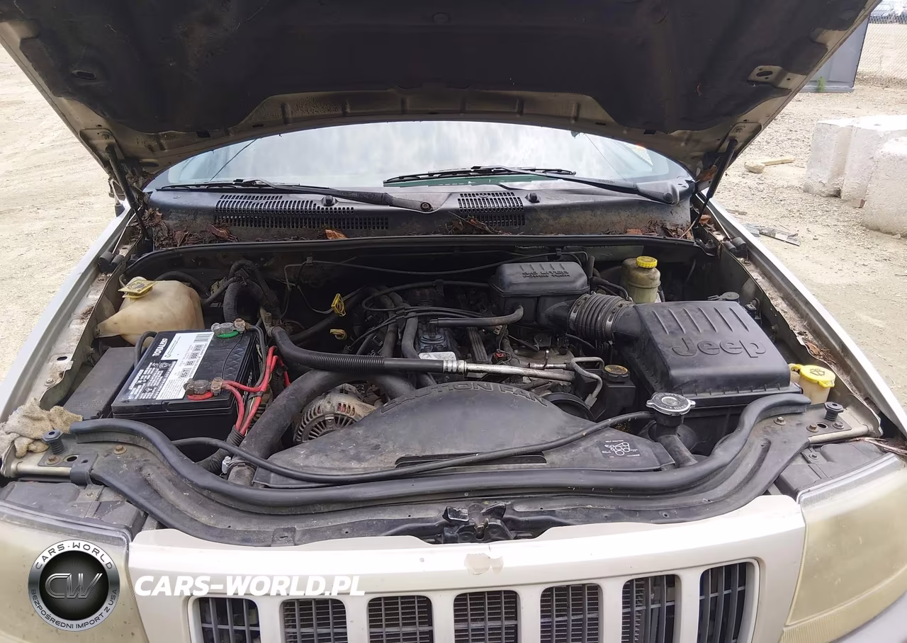 2004 Jeep Grand Cherokee Laredo VIN:1J4GX48S04C304662 - 10