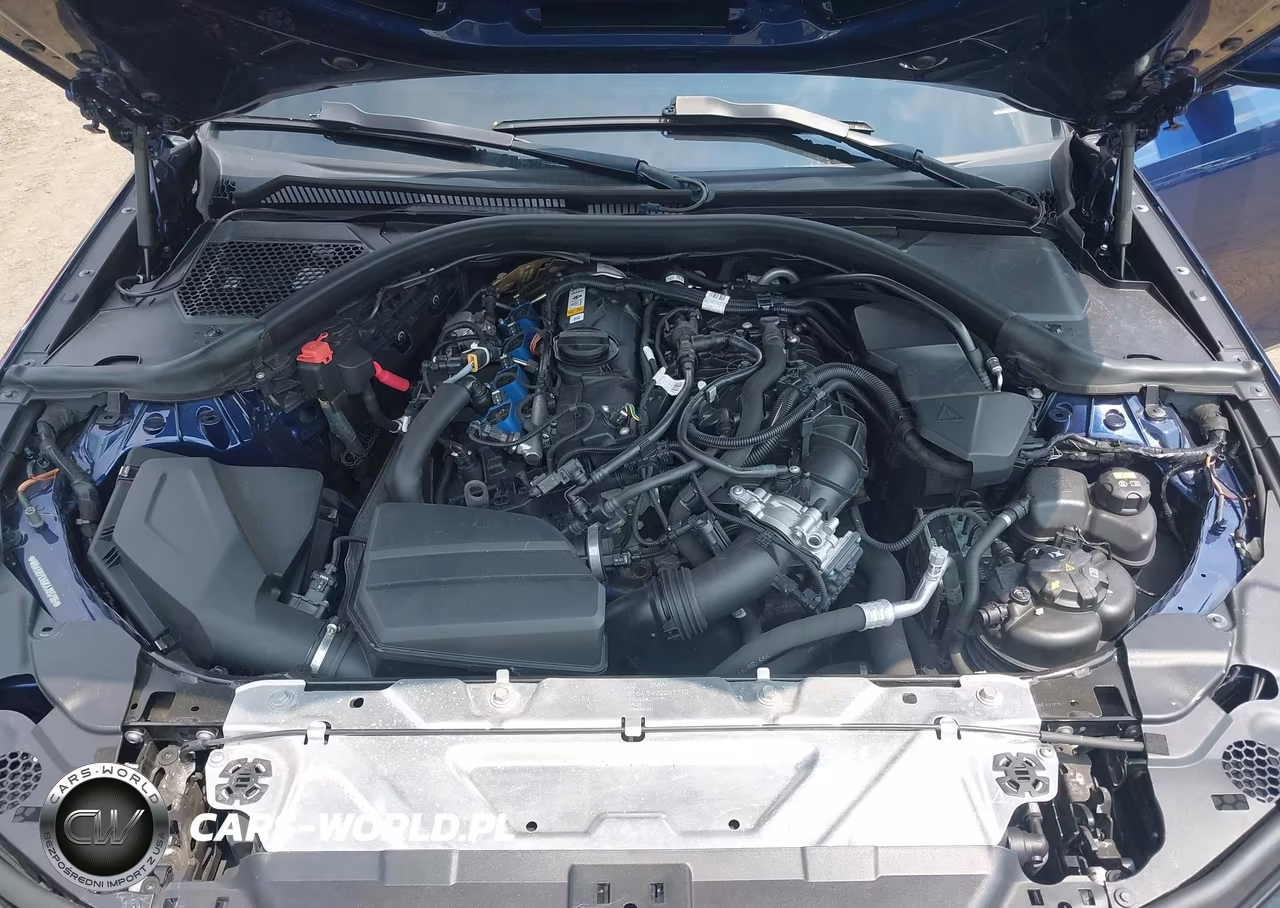 2019 BMW 330I xDrive VIN:WBA5R7C56KAJ83796 - 10