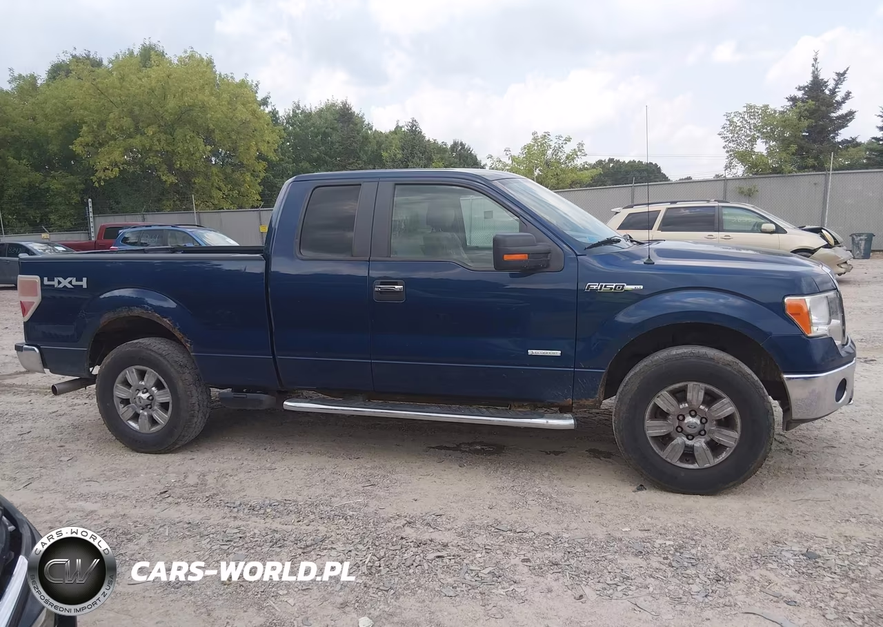 2012 Ford F-150 Xlt VIN:1FTFX1ET2CFA87612 - 13