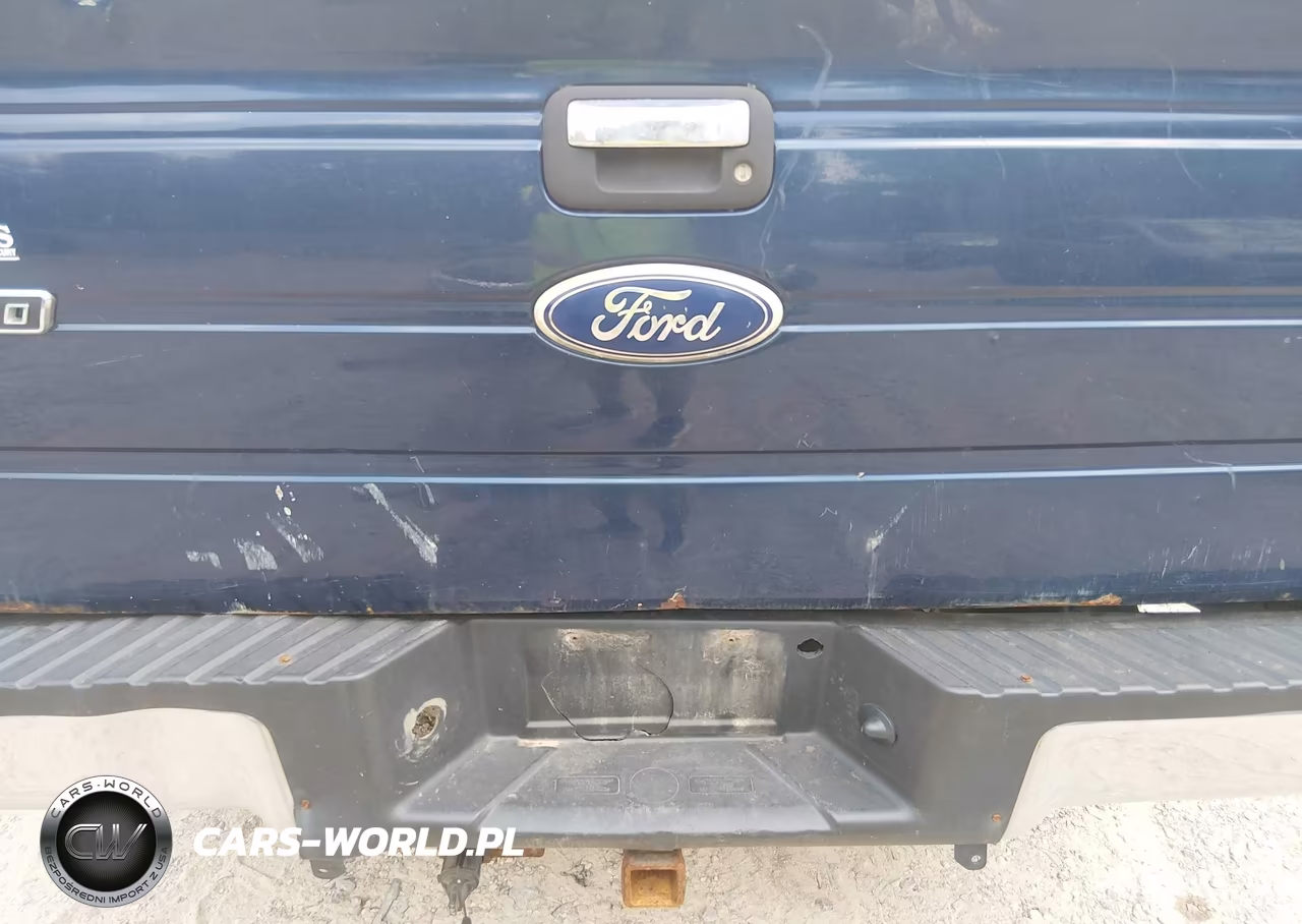 2012 Ford F-150 Xlt VIN:1FTFX1ET2CFA87612 - 21