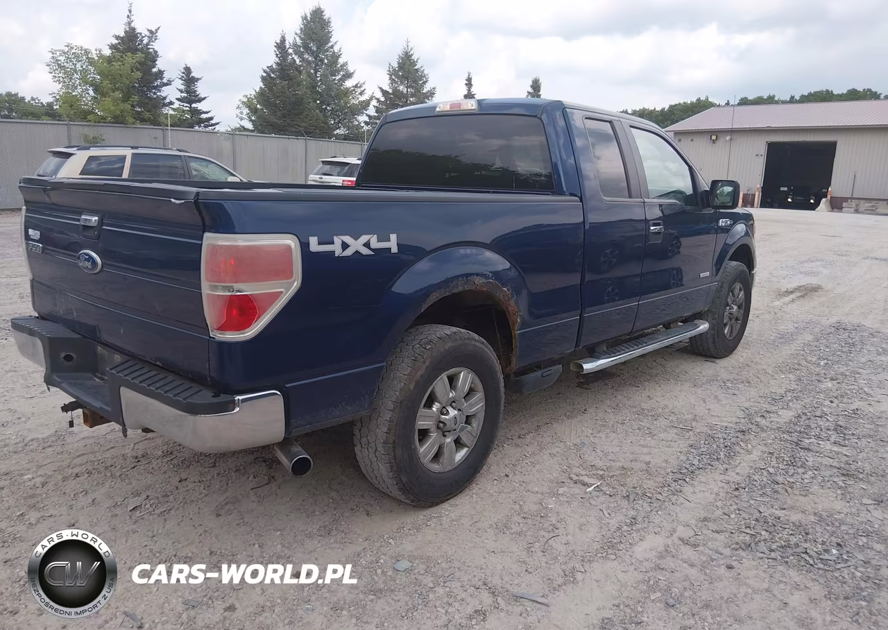 2012 Ford F-150 Xlt VIN:1FTFX1ET2CFA87612 - 4
