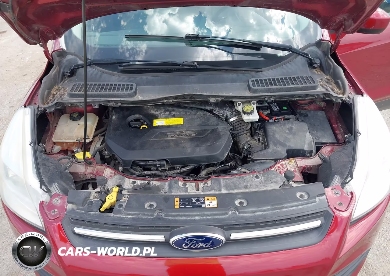 2015 Ford Escape Se VIN:1FMCU0GX1FUA76490 - 10