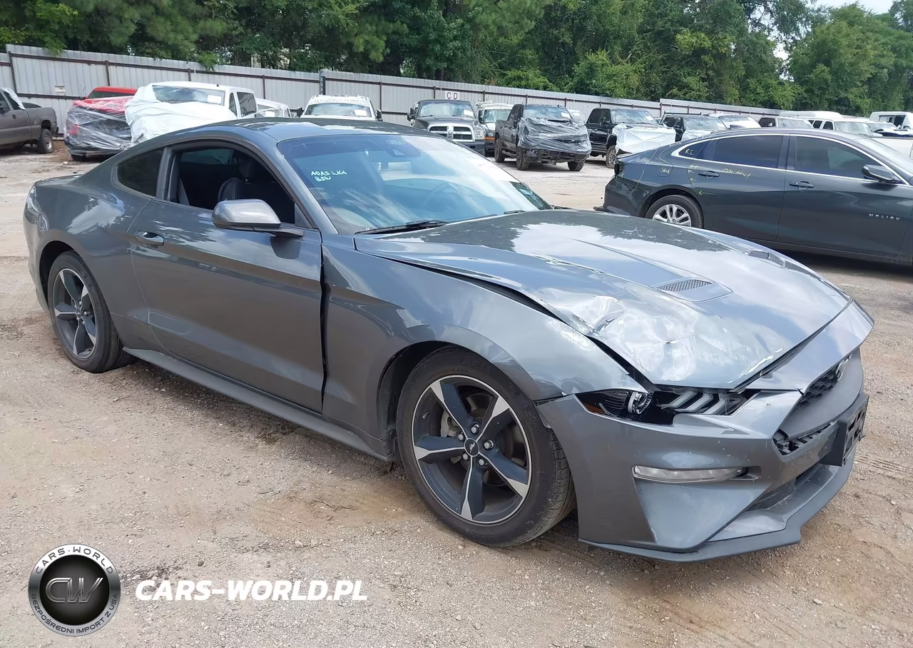 2022 Ford Mustang Ecoboost Fastback VIN:1FA6P8THXN5109989 - 1