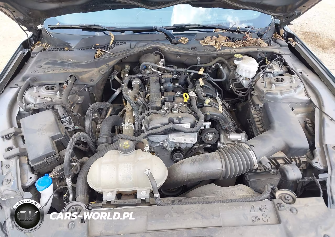 2022 Ford Mustang Ecoboost Fastback VIN:1FA6P8THXN5109989 - 10