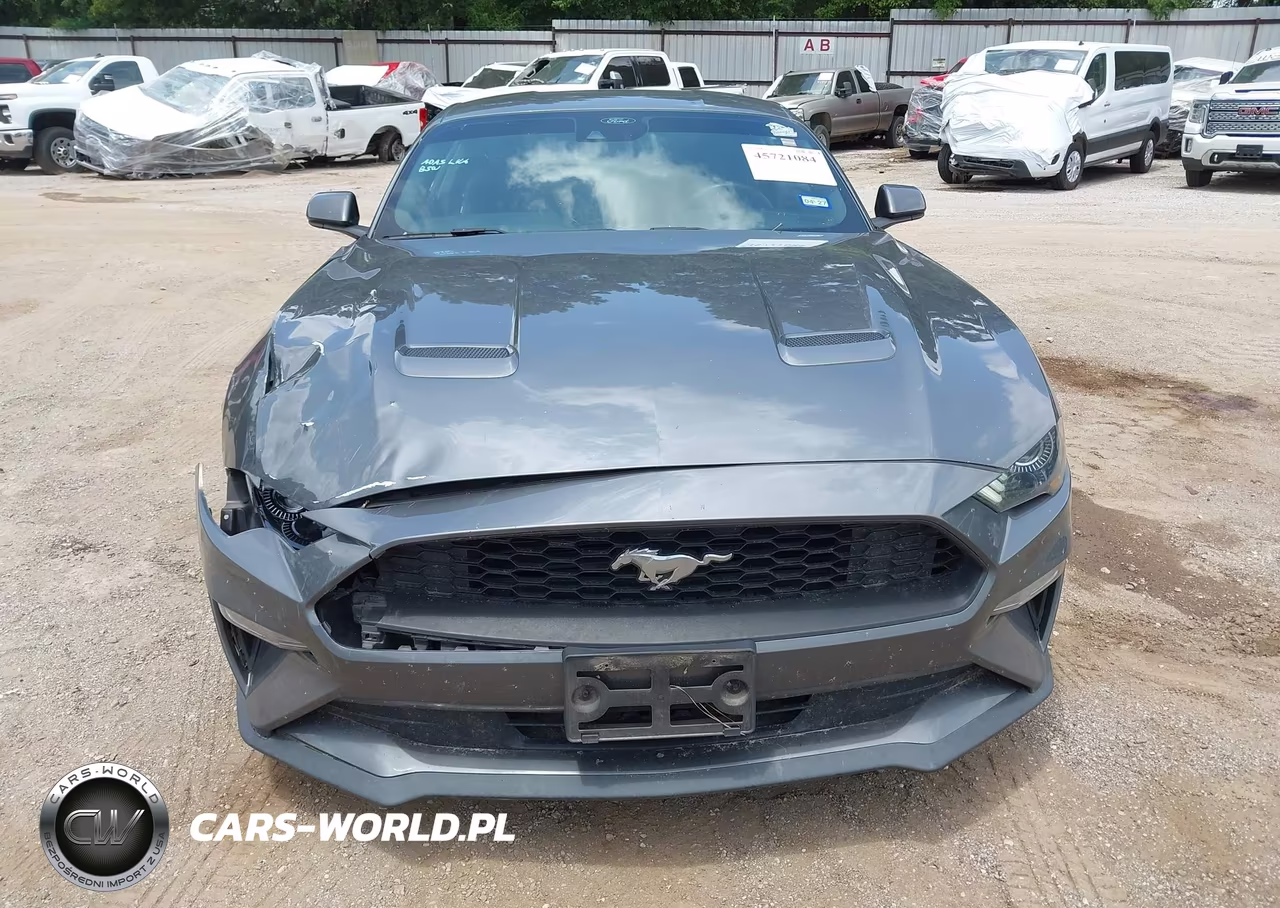 2022 Ford Mustang Ecoboost Fastback VIN:1FA6P8THXN5109989 - 12