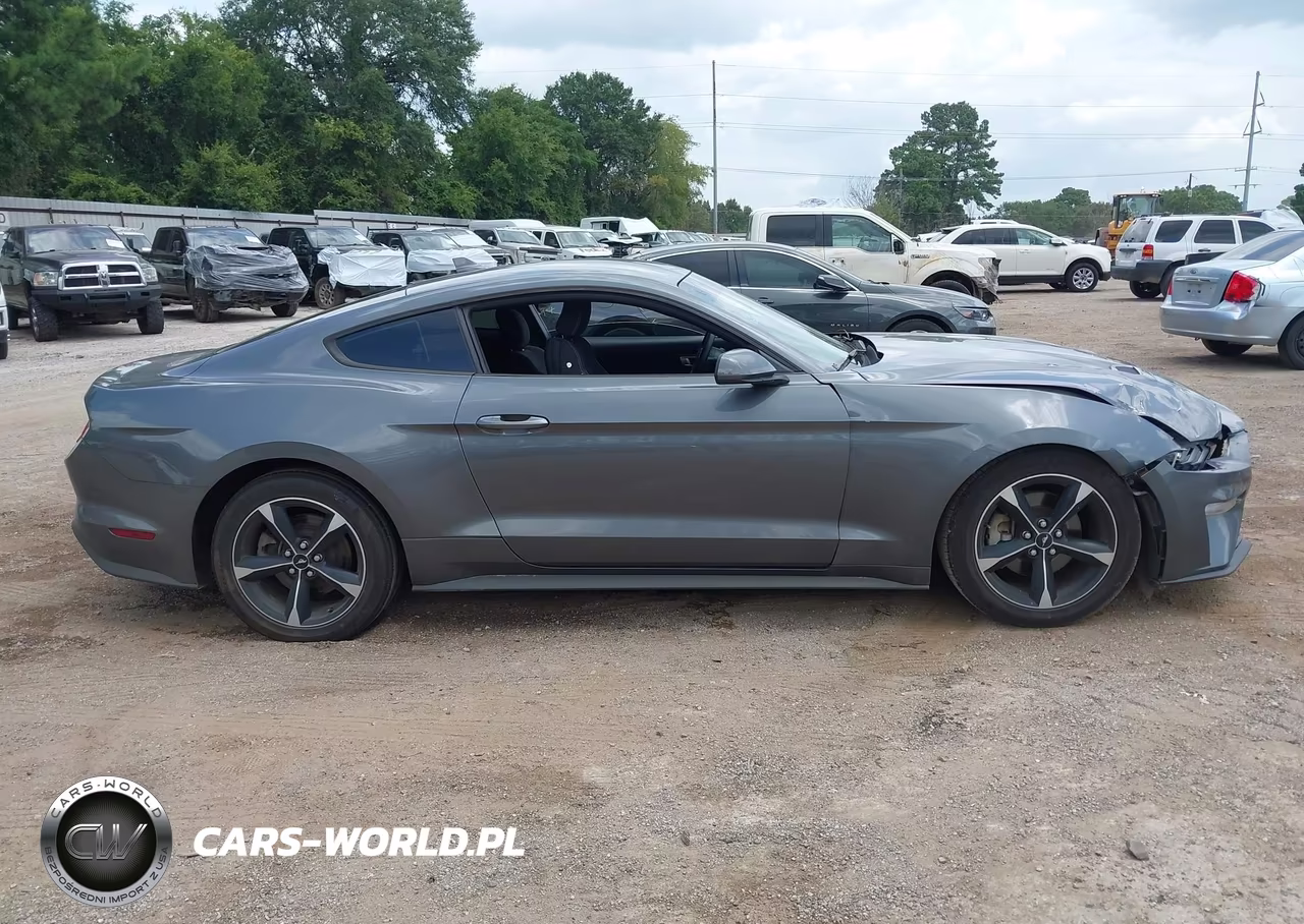 2022 Ford Mustang Ecoboost Fastback VIN:1FA6P8THXN5109989 - 13