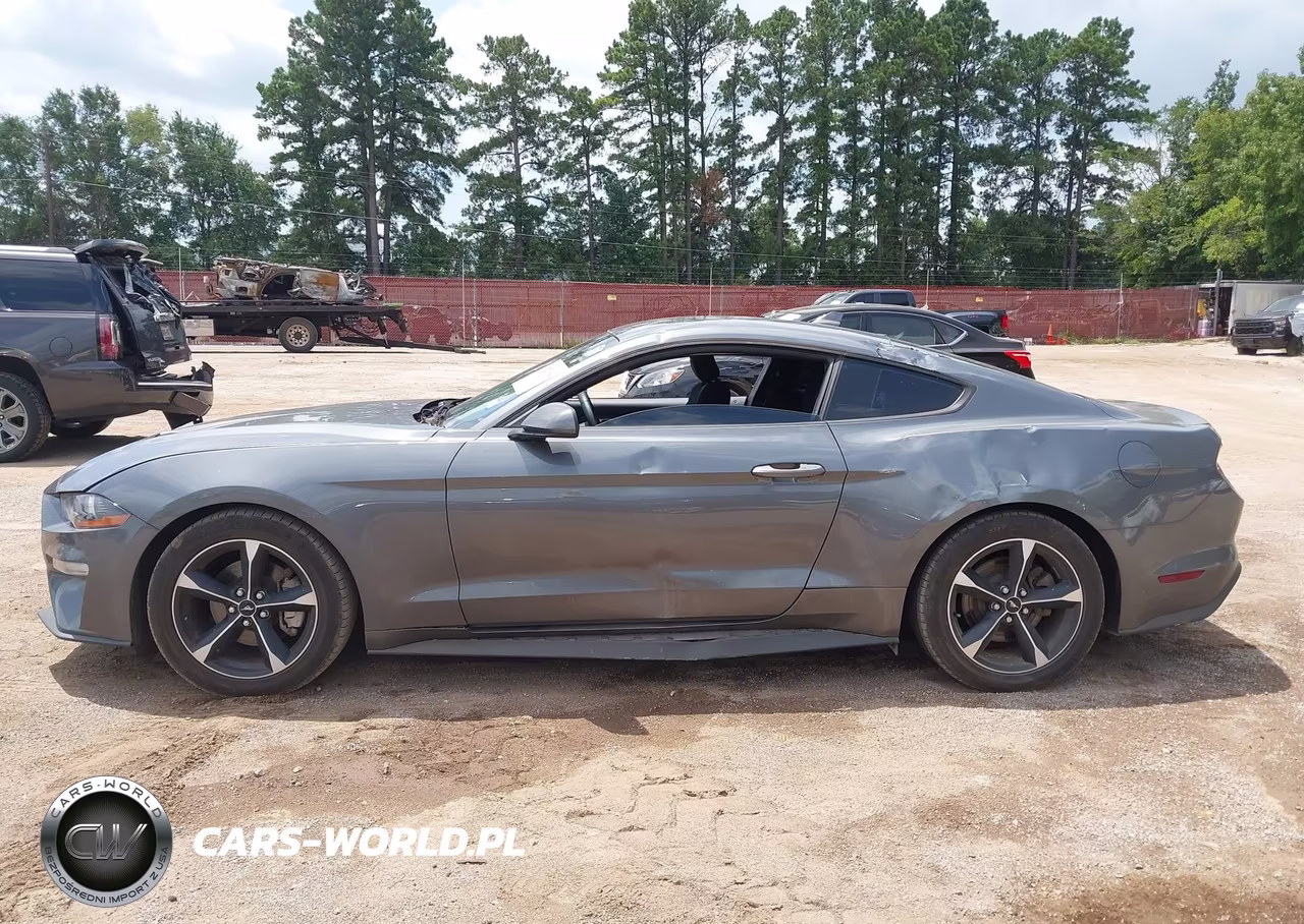 2022 Ford Mustang Ecoboost Fastback VIN:1FA6P8THXN5109989 - 14