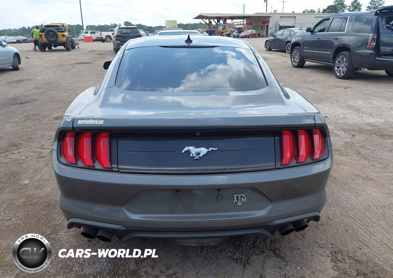 2022 Ford Mustang Ecoboost Fastback VIN:1FA6P8THXN5109989 - 16