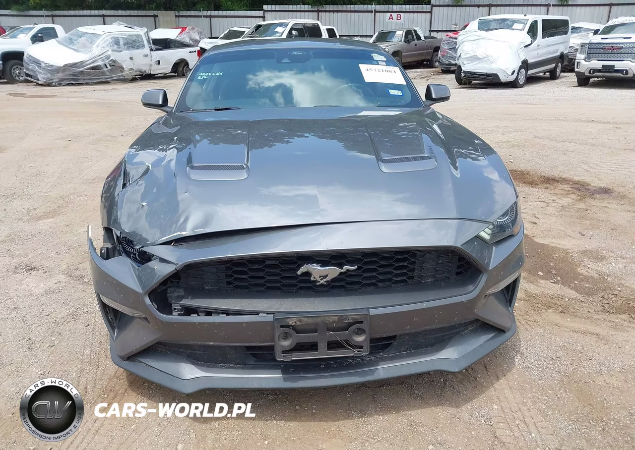 2022 Ford Mustang Ecoboost Fastback VIN:1FA6P8THXN5109989 - 17
