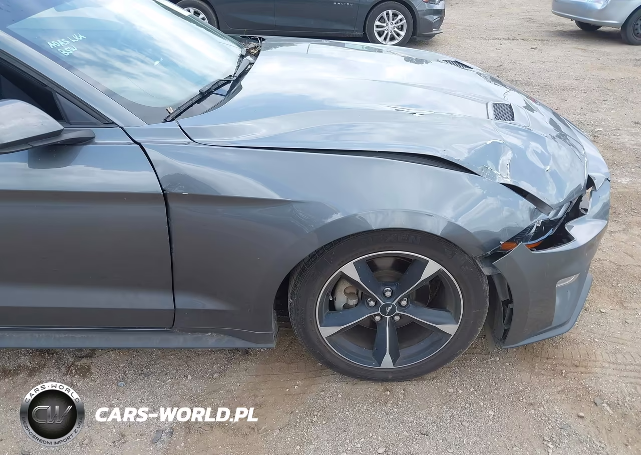2022 Ford Mustang Ecoboost Fastback VIN:1FA6P8THXN5109989 - 18
