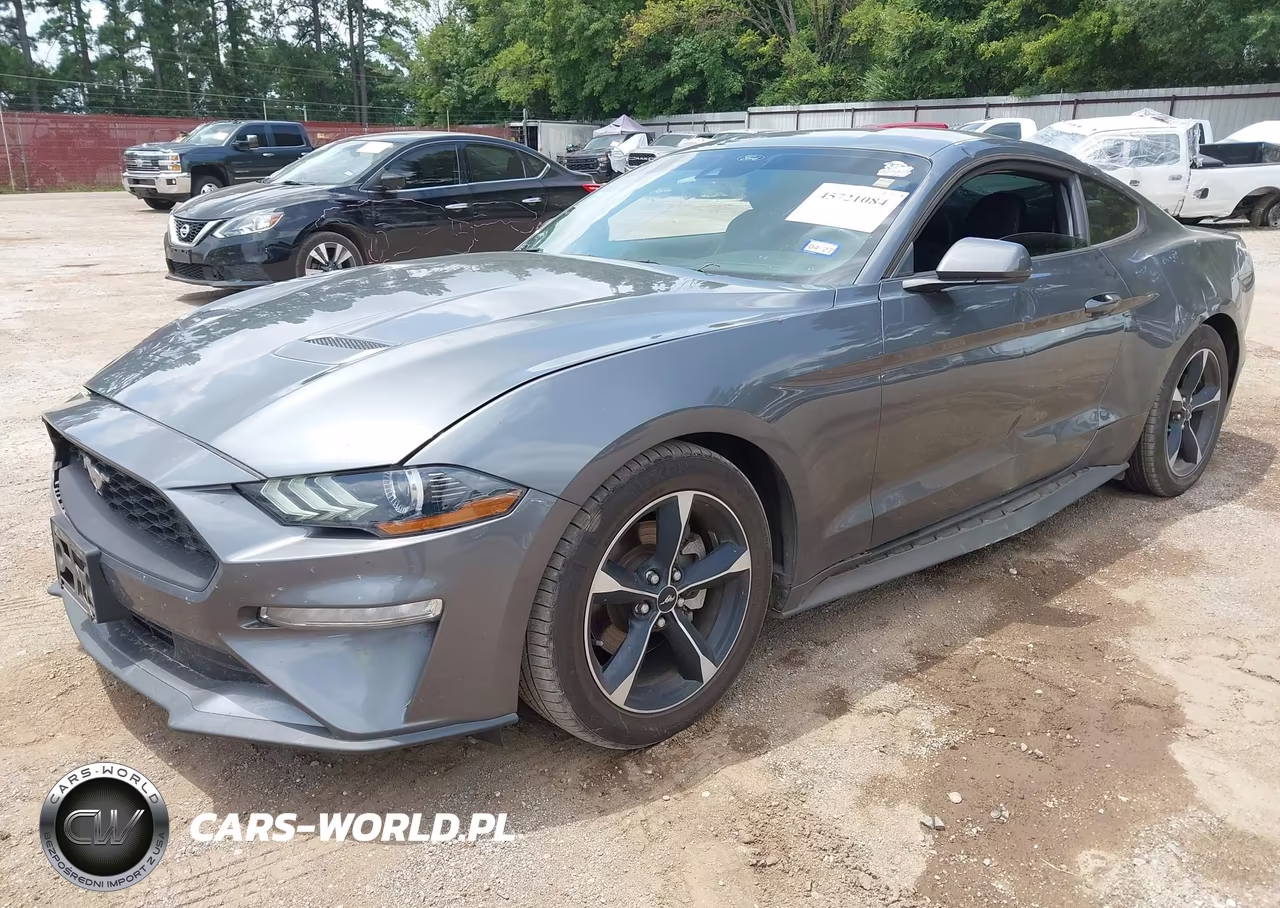 2022 Ford Mustang Ecoboost Fastback VIN:1FA6P8THXN5109989 - 2