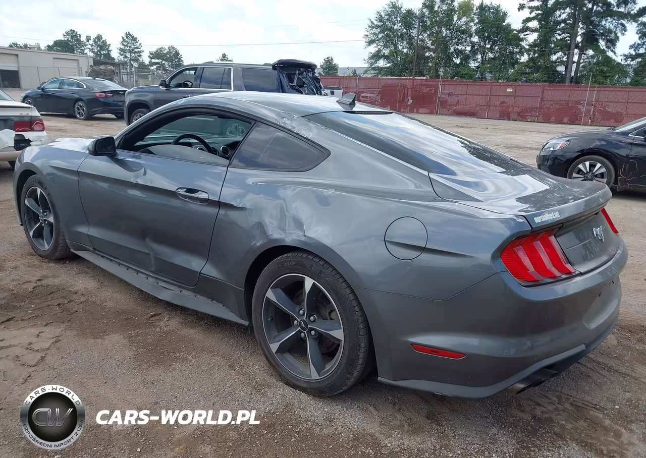 2022 Ford Mustang Ecoboost Fastback VIN:1FA6P8THXN5109989 - 3