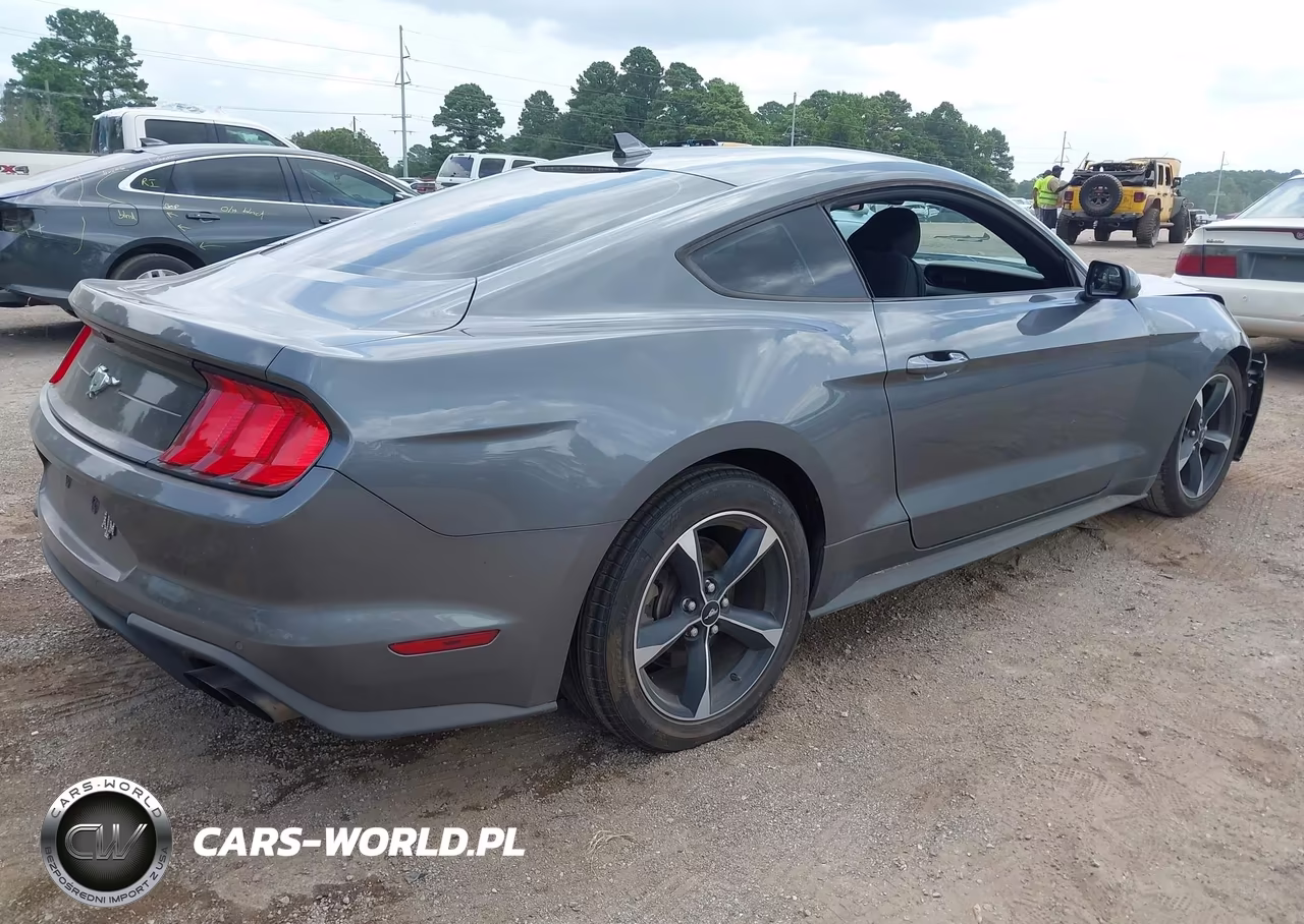 2022 Ford Mustang Ecoboost Fastback VIN:1FA6P8THXN5109989 - 4