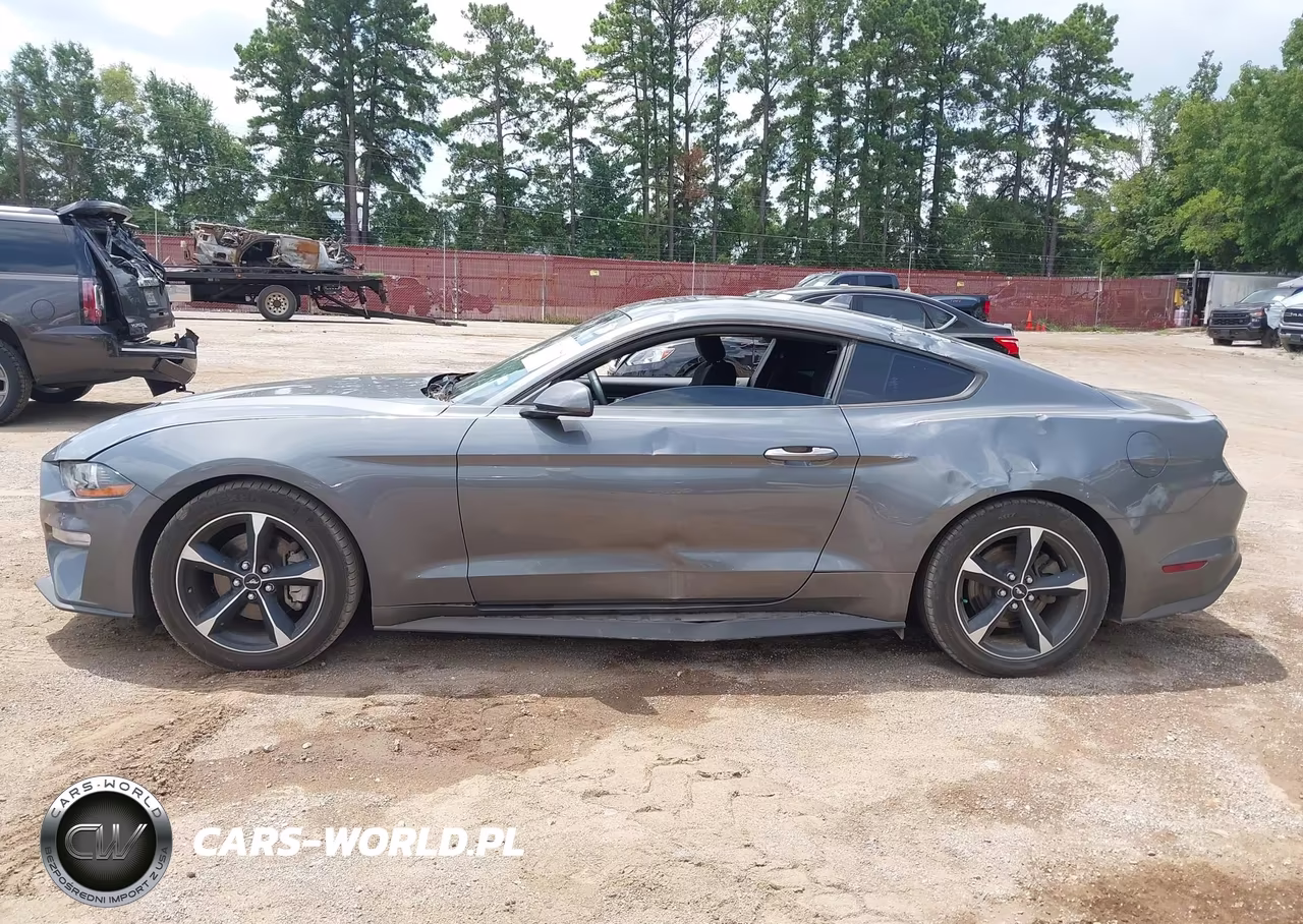 2022 Ford Mustang Ecoboost Fastback VIN:1FA6P8THXN5109989 - 6