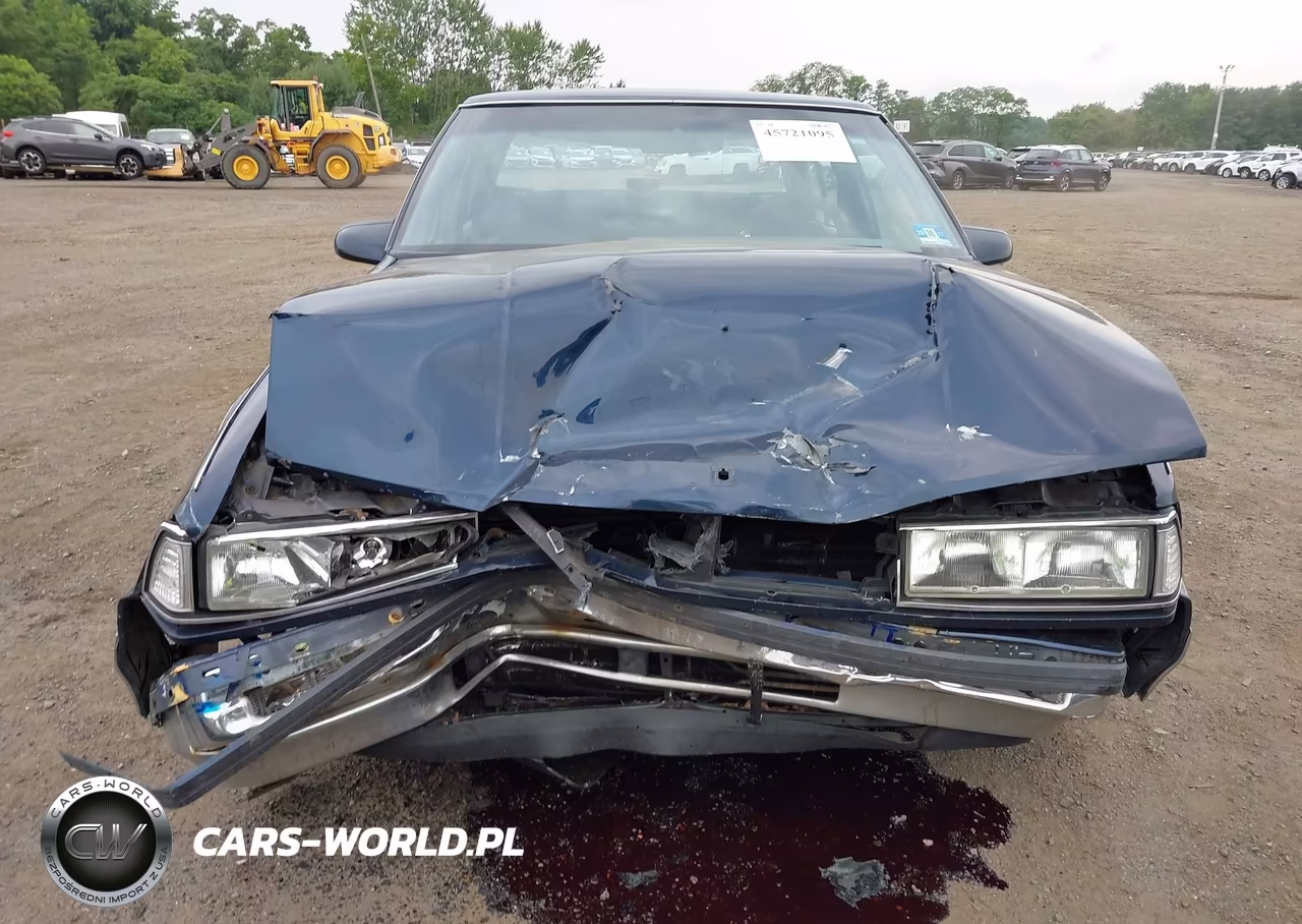 1989 Oldsmobile 98 Regency Brougham VIN:1G3CW54C4K4302044 - 12