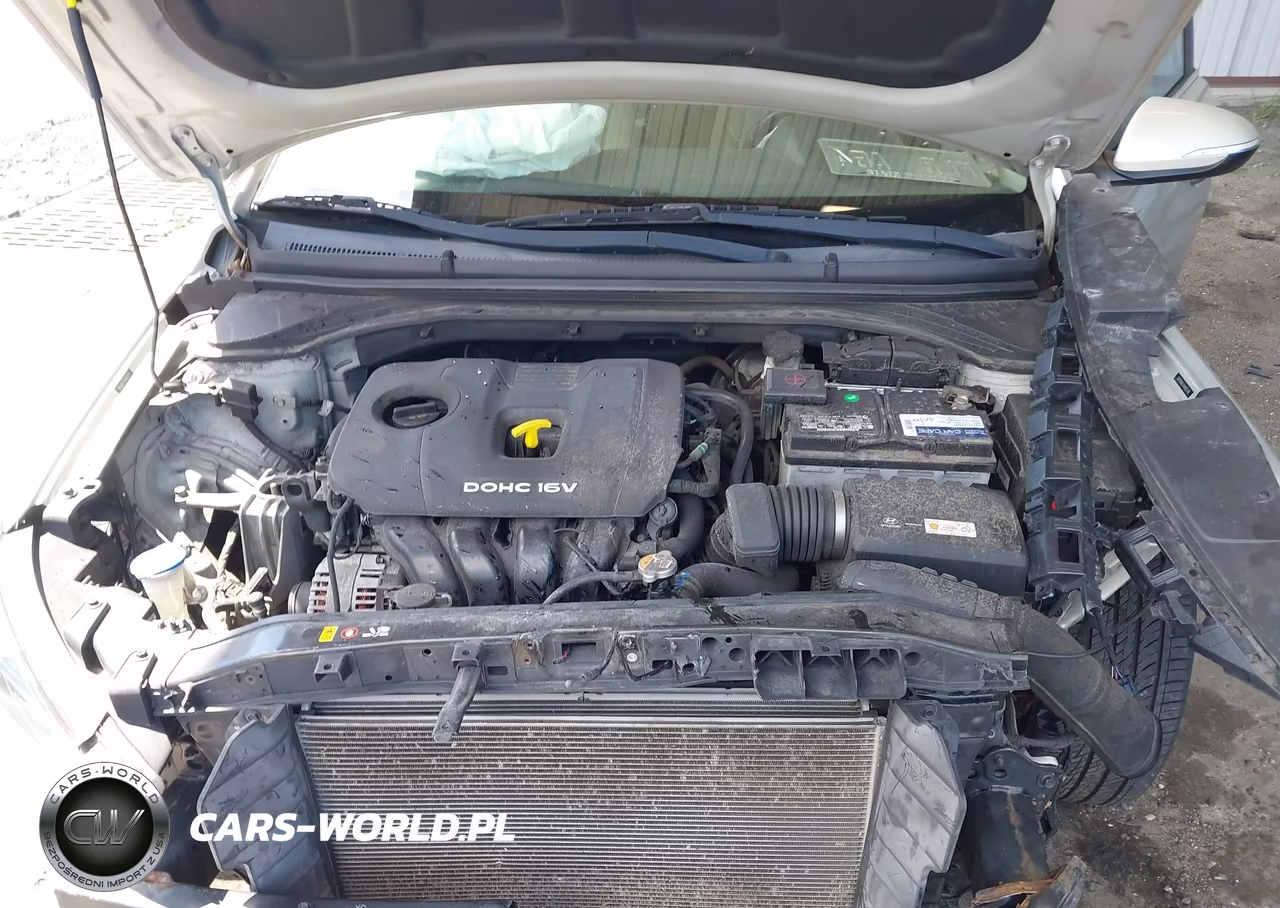 2017 Hyundai Elantra Limited VIN:5NPD84LFXHH055748 - 10