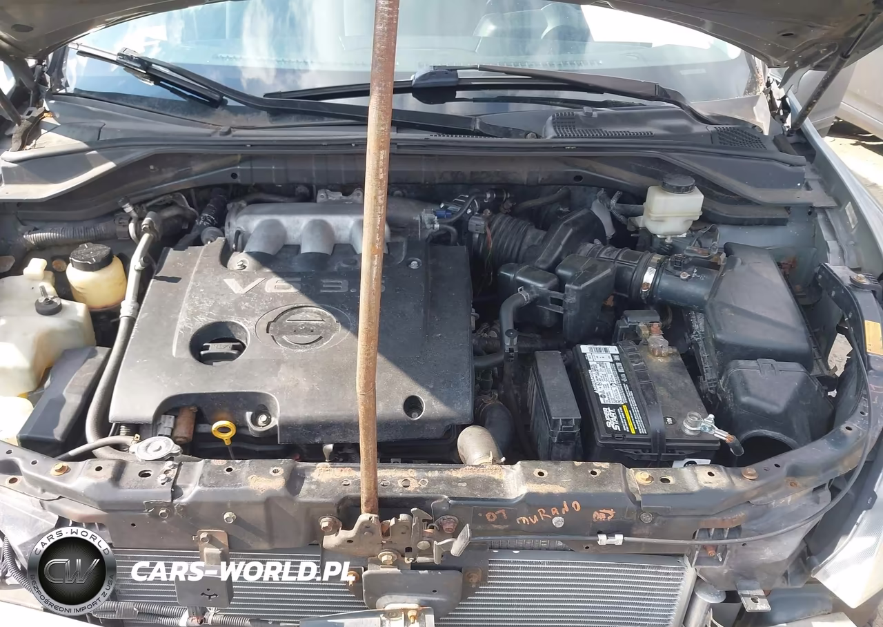 2007 Nissan Murano Sl VIN:JN8AZ08W37W613891 - 10
