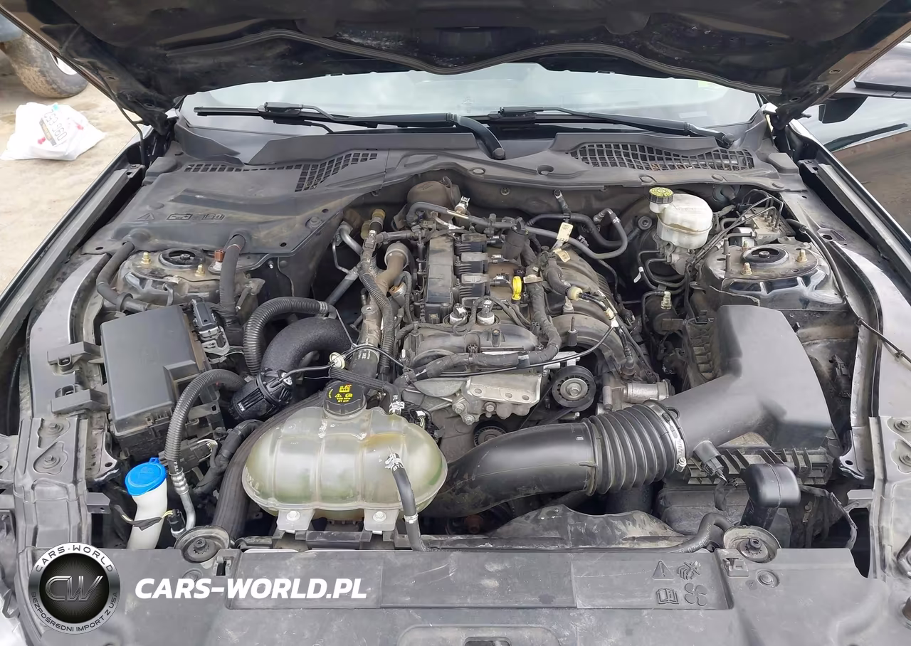 2020 Ford Mustang Ecoboost Fastback VIN:1FA6P8TH5L5129418 - 10