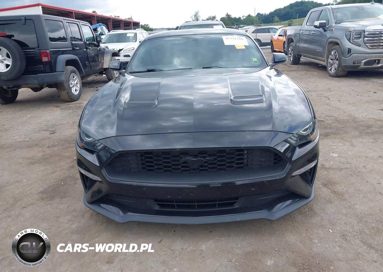 2020 Ford Mustang Ecoboost Fastback VIN:1FA6P8TH5L5129418 - 12