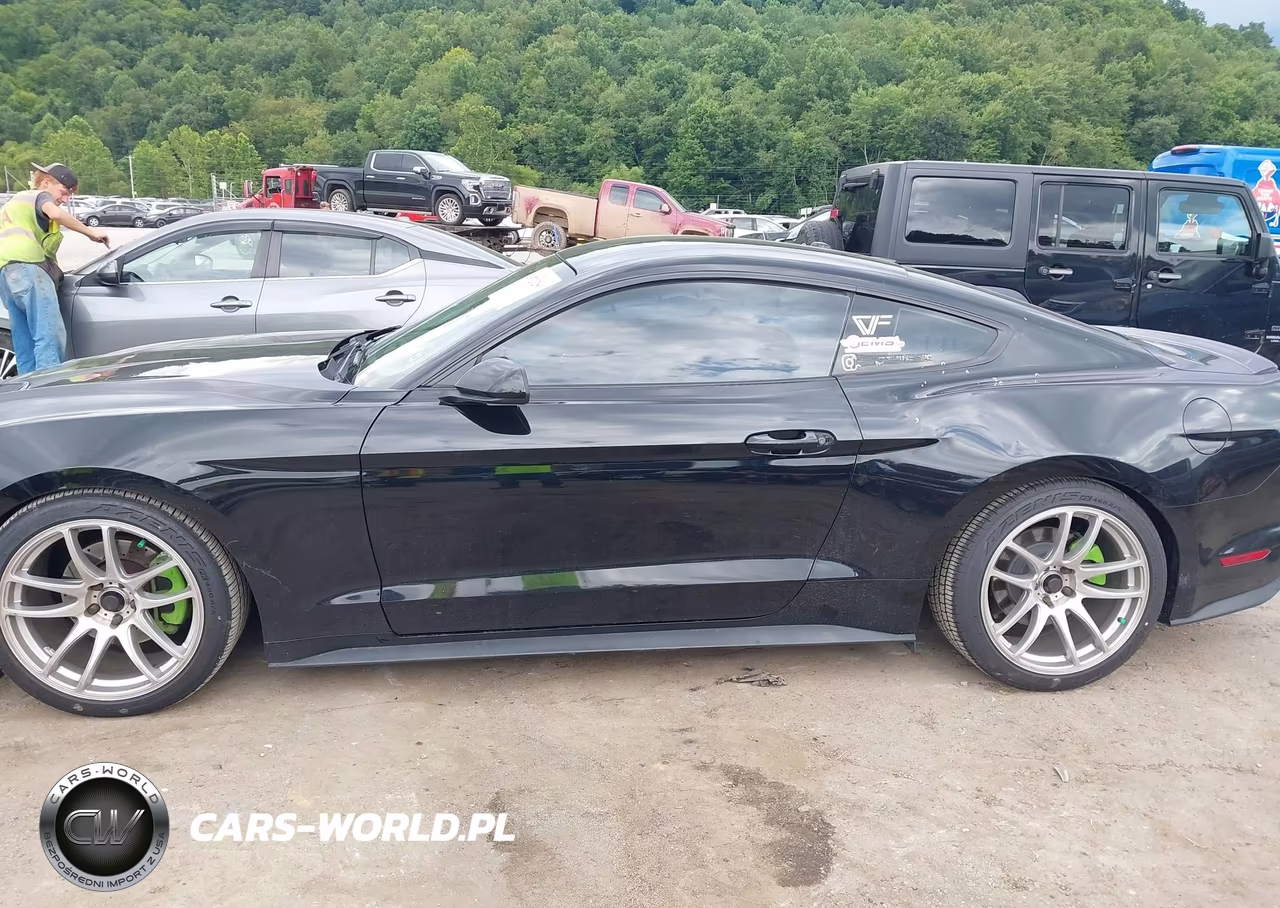 2020 Ford Mustang Ecoboost Fastback VIN:1FA6P8TH5L5129418 - 14