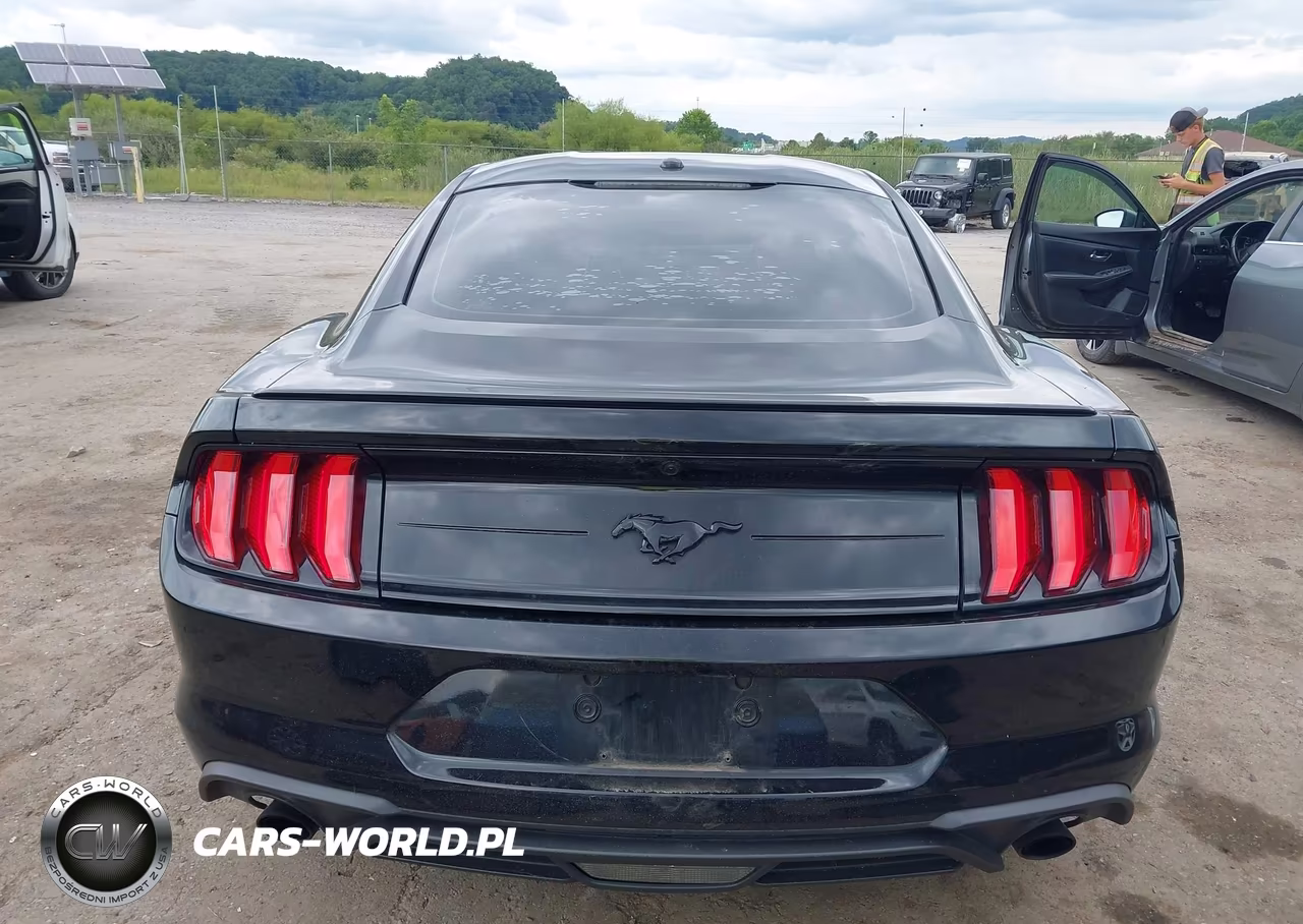 2020 Ford Mustang Ecoboost Fastback VIN:1FA6P8TH5L5129418 - 16