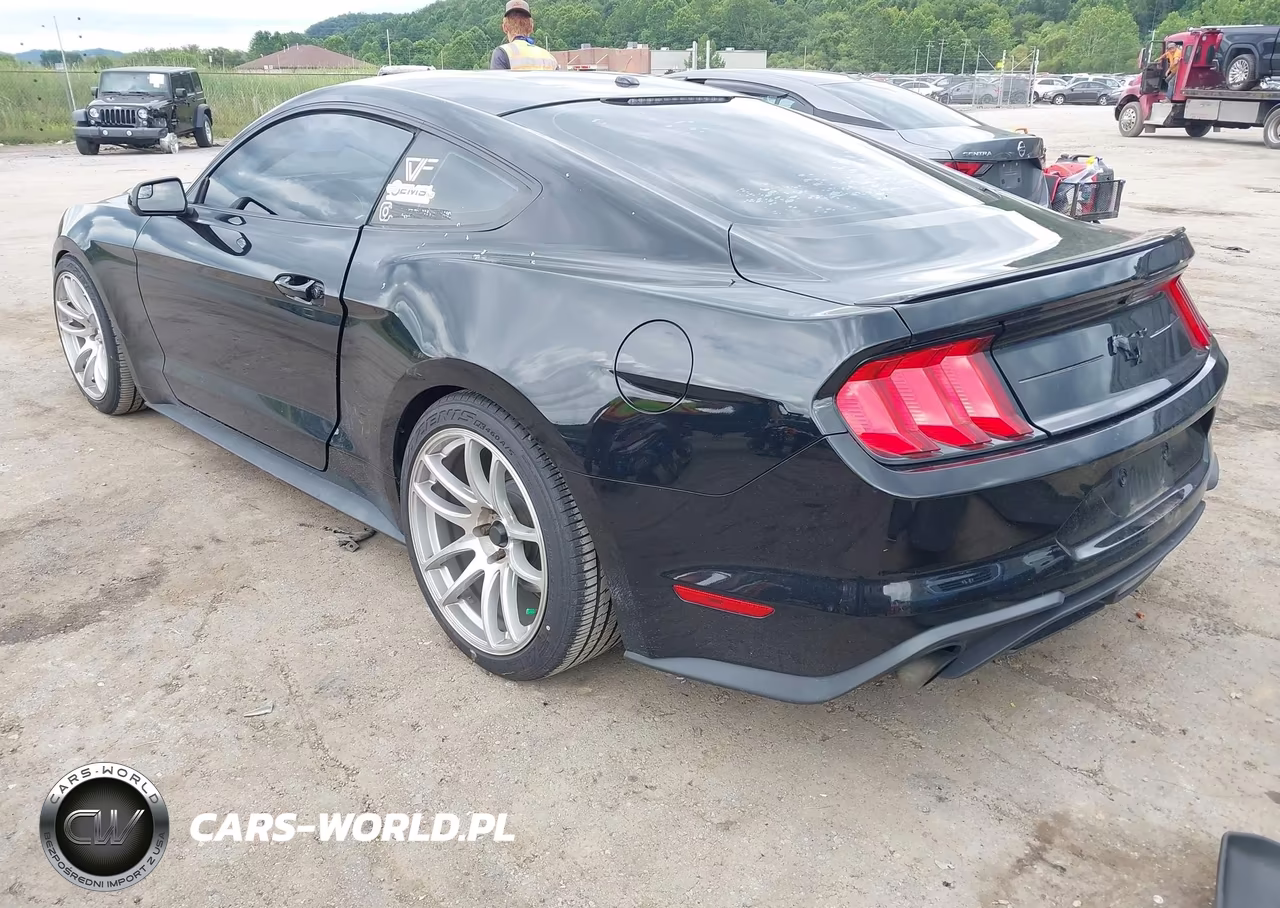 2020 Ford Mustang Ecoboost Fastback VIN:1FA6P8TH5L5129418 - 3