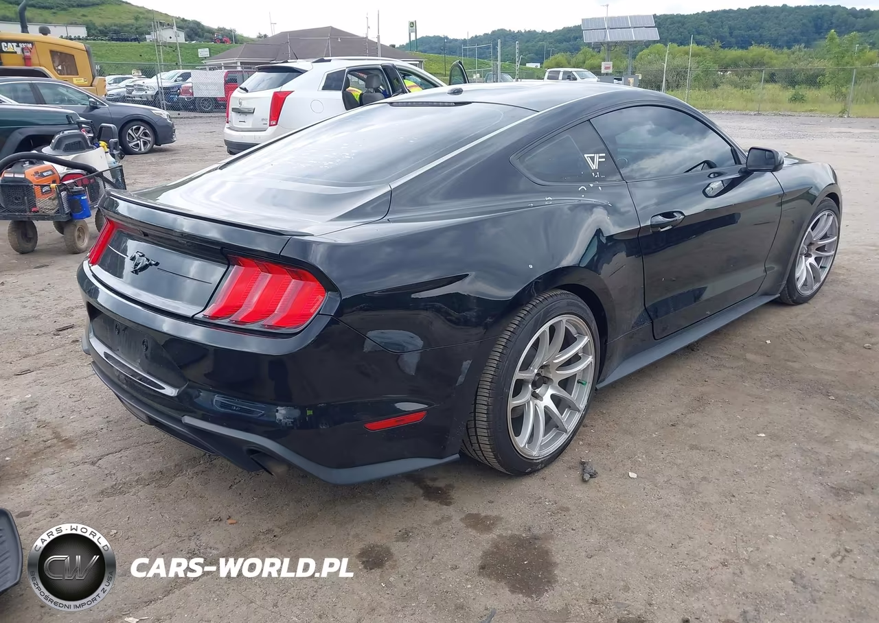 2020 Ford Mustang Ecoboost Fastback VIN:1FA6P8TH5L5129418 - 4