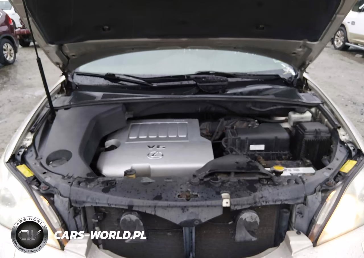 2007 Lexus Rx 350 VIN:2T2HK31U17C014856 - 10