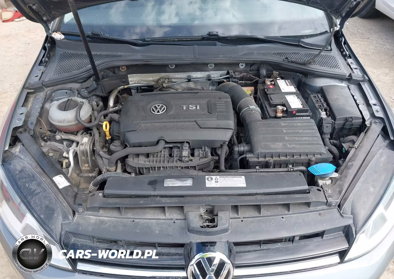 2016 Volkswagen Golf Tsi S 4-Door VIN:3VW217AU3GM055451 - 10