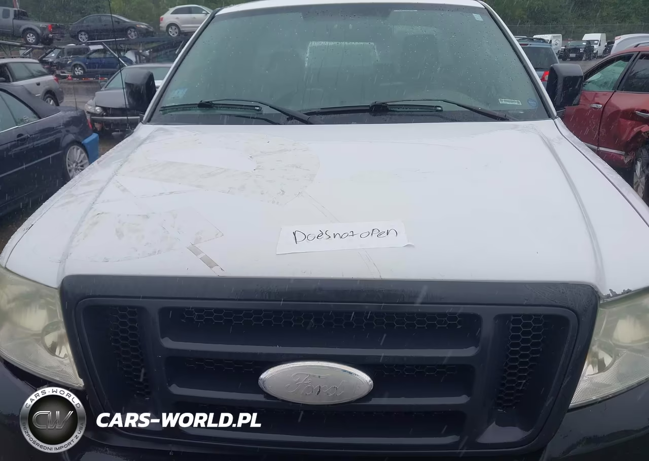 2008 Ford F-150 Stx-Xl-Xlt VIN:1FTRF12278KE07534 - 10