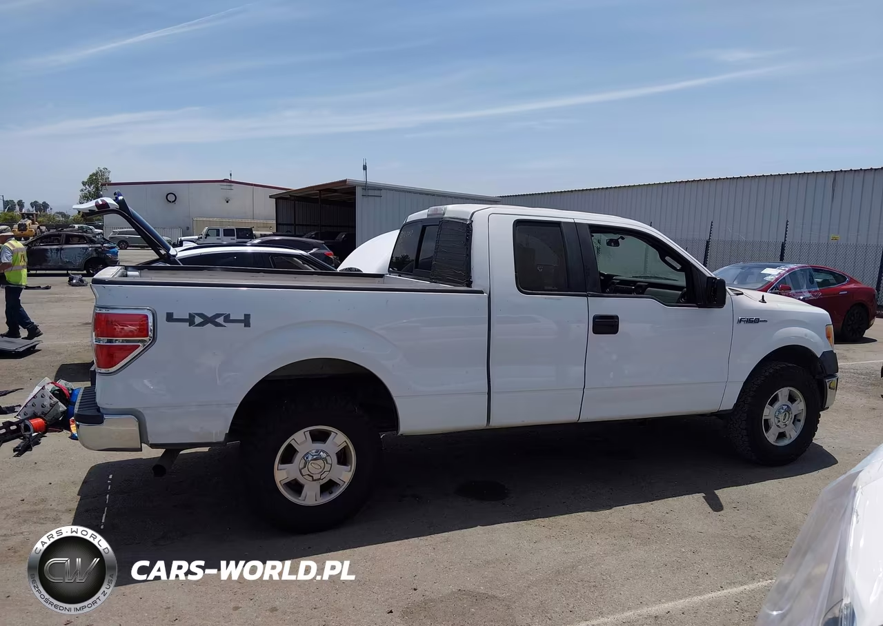 2013 Ford F-150 Xl VIN:1FTFX1EF1DKF48527 - 12