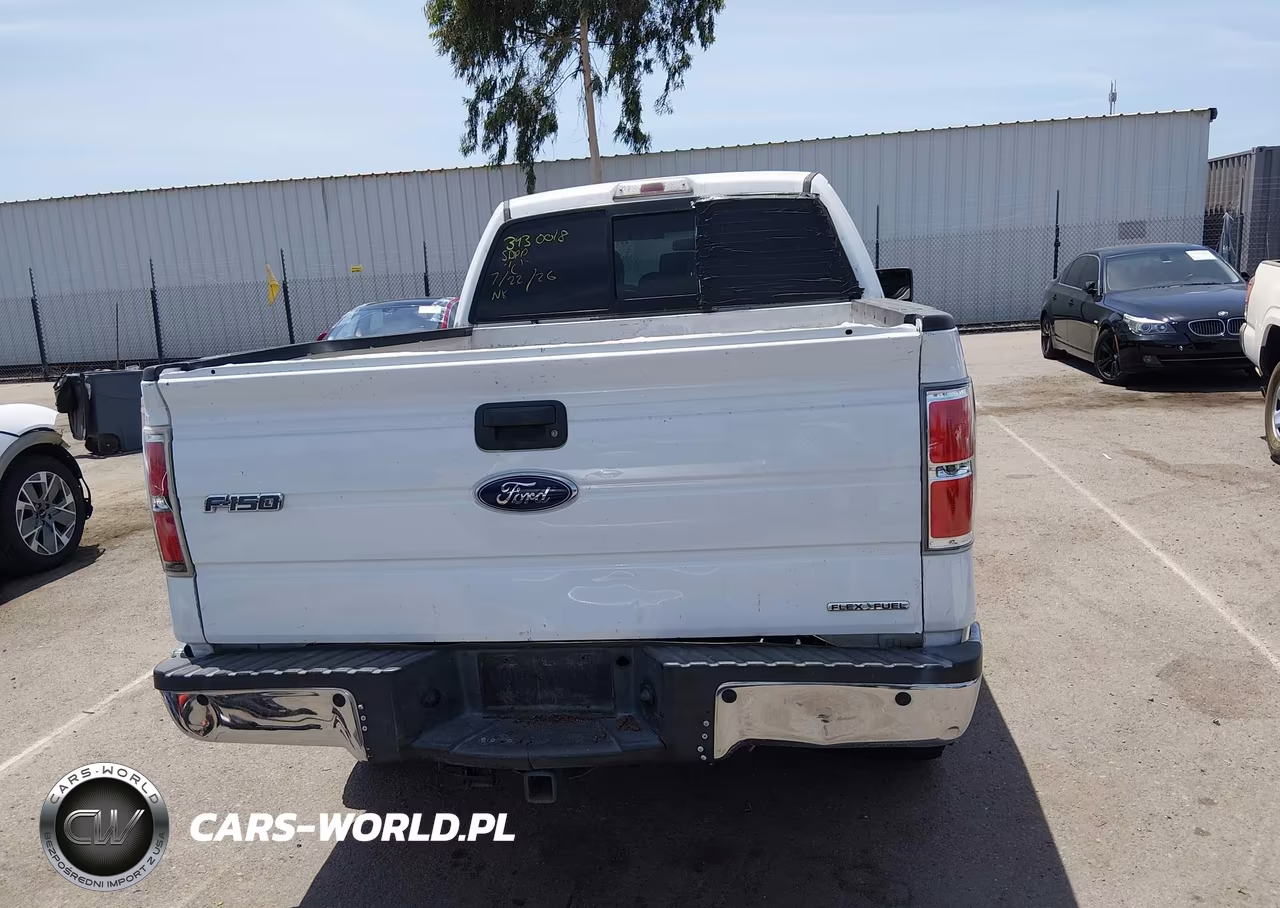 2013 Ford F-150 Xl VIN:1FTFX1EF1DKF48527 - 15