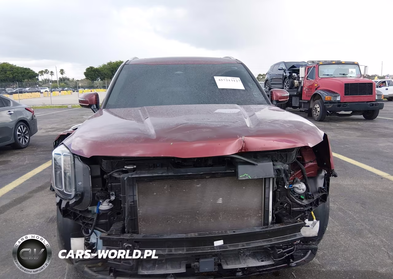 2023 Kia Telluride Sx VIN:5XYP5DGC5PG395434 - 13