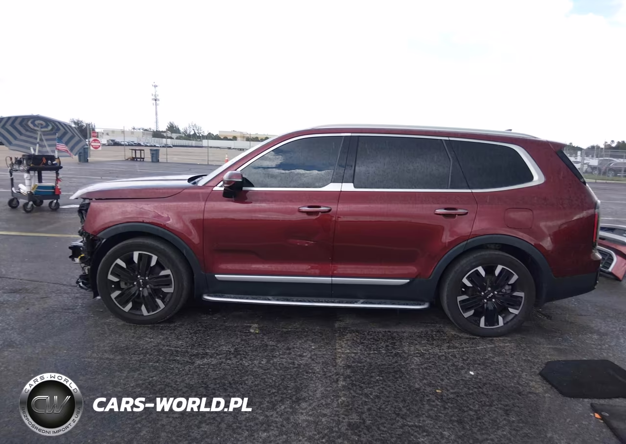 2023 Kia Telluride Sx VIN:5XYP5DGC5PG395434 - 15