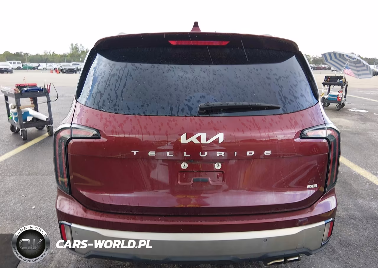 2023 Kia Telluride Sx VIN:5XYP5DGC5PG395434 - 17
