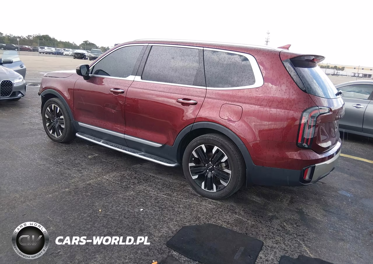 2023 Kia Telluride Sx VIN:5XYP5DGC5PG395434 - 3