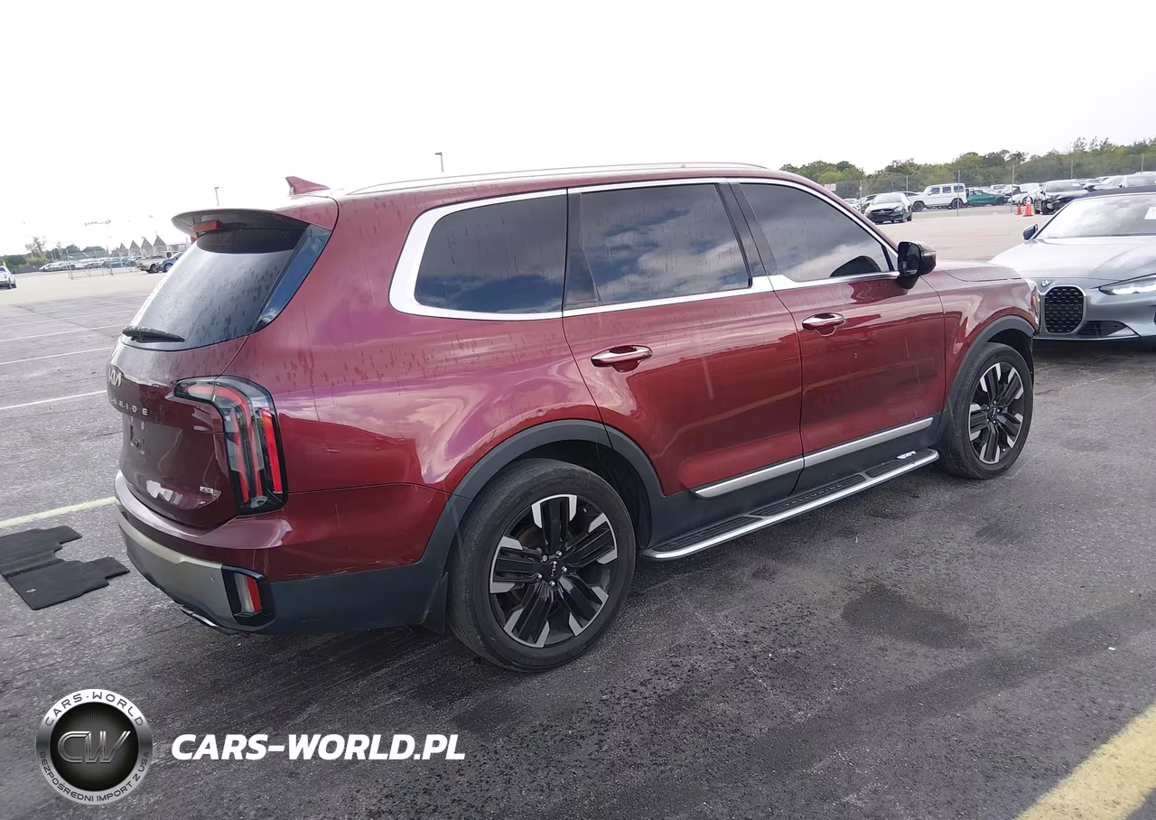 2023 Kia Telluride Sx VIN:5XYP5DGC5PG395434 - 4